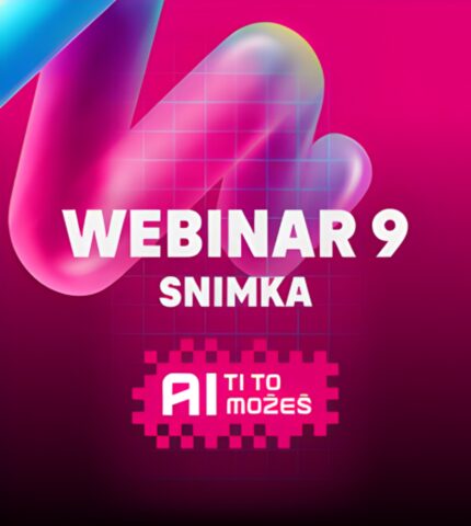 webinar 9 snimka