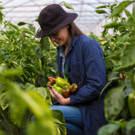 Naslovna slika programa